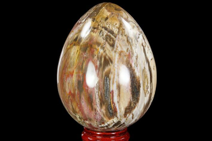 Colorful, Polished Petrified Wood Egg - Triassic #104621